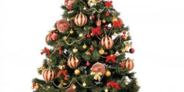 Bradul de Craciun perfect