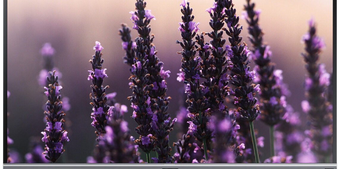 Review Samsung 40H5030