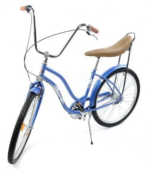 Bicicleta de oras Pegas