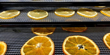 Cel mai bun deshidrator de alimente