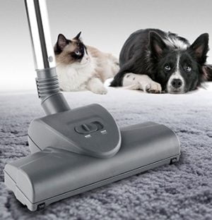 Aspirare par animale filtrare cu apa