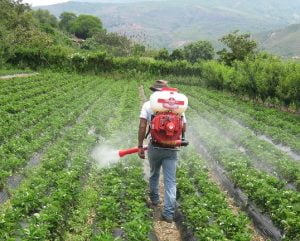 Atomizor pentru plante de gradina