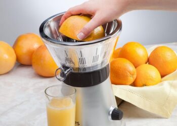 Cel mai bun storcator de citrice