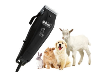 Cea mai buna masina de tuns pentru animale