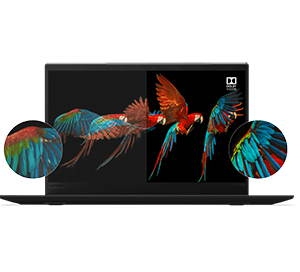 Ecran de calitate laptop business