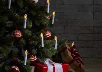 Cea mai buna instalatie de Craciun