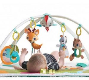 Centru de activitati bebelusi