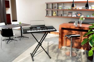 Cea mai buna orga electronica