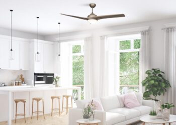 Cel mai bun ventilator de tavan