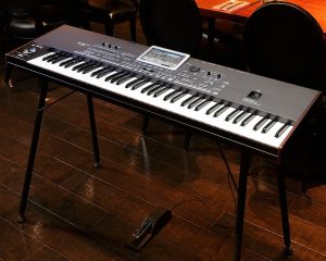 Orga electronica profesionala