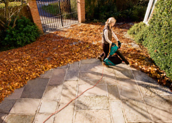 Cel mai bun aspirator/suflantă pentru frunze 2 Cel mai bun aspirator suflanta pentru frunze