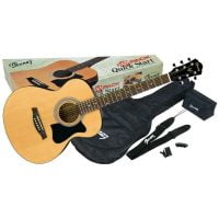 Chitara Acustica Ibanez VC50NJP-NT