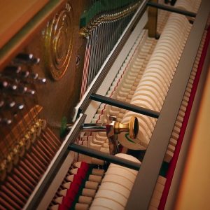 Mecanism pianina acustica clasica