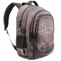 Cel mai bun ghiozdan pentru scoala 6 Ghiozdan Harry Potter Hogwarts Brown cu port USB