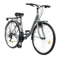 Bicicleta de Oras Rich Meridian 2.6 Unisex Bicicleta de Oras Rich Meridian 2.6 Unisex