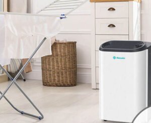 Dezumidificator pentru uscare rufe acasa