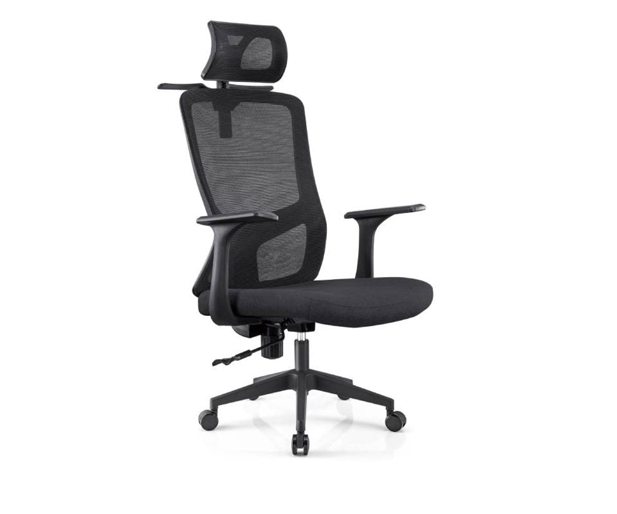 Scaun birou ergonomic Dacris Evo Scaun birou ergonomic Dacris Evo