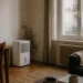 Dezumidificator pentru mucegai în apartament